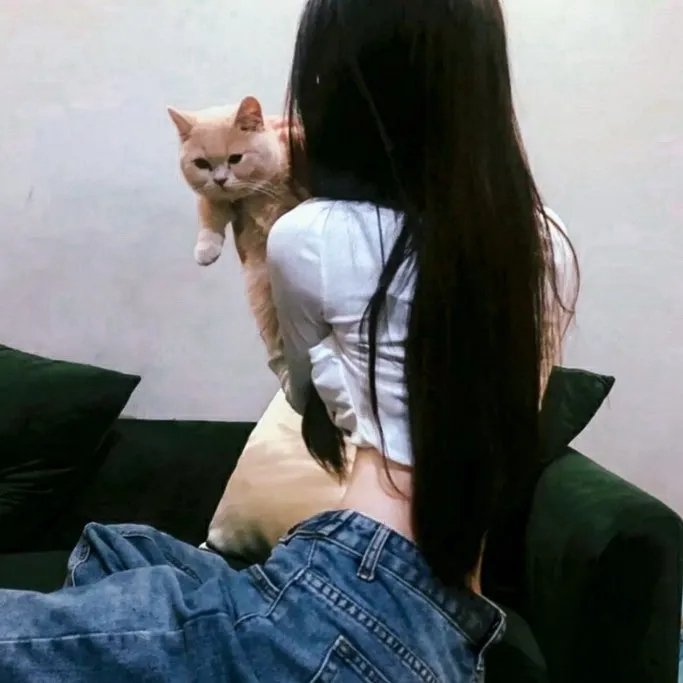 我老死苏怡